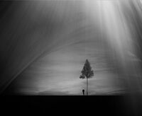 Пространството на бляновете; Коментари:25