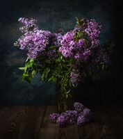 С мирис на люляк; Коментари:9