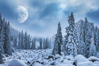 Магията на Витоша; Коментари:6