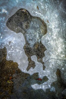 Humanoid; Коментари:9