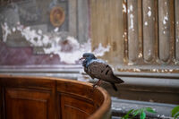 no name ( ID=2572994 ); No comments