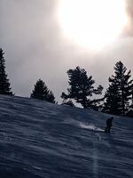 Факт; Коментари:1