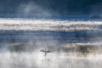 без име ( ID=2573065 ); Коментари:5