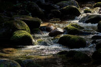 ...по реката...; Коментари:2