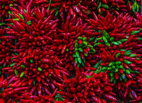 +-++--+++--- !!!; Коментари:9