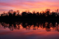 Първият залез в годината на Огнения кон; Коментари:7