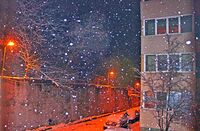 без име ( ID=2573182 ); Коментари:1