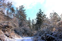 no name ( ID=2573183 ); comments:2