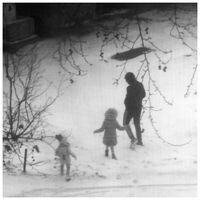 без име ( ID=2573226 ); Коментари:5