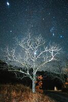 Разбира се, Орион!; No comments