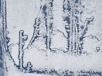 Ледена епоха; Коментари:28