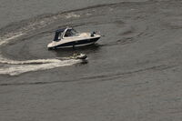 Кеф; Няма коментари