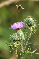 no name ( ID=2573321 ); comments:7