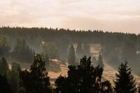 без име ( ID=2573324 ); Коментари:4