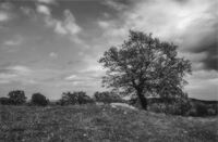 no name ( ID=2573337 ); comments:1