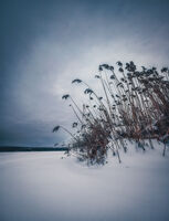 no name ( ID=2573364 ); comments:4