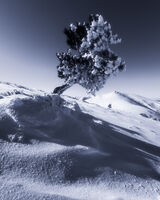 без име ( ID=2573389 ); Коментари:5