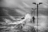 Буря на кея в мъглата.; comments:26