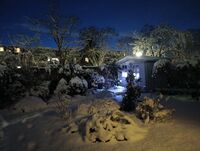 no name ( ID=2573478 ); No comments