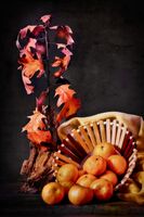 Композиция с мандарини и есенни листа; Коментари:5