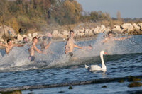 Варна; Коментари:3