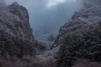 Властелиново; Няма коментари