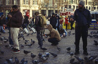 Dam Square; comments:1
