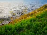 без име ( ID=2573674 ); Коментари:4