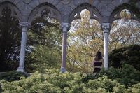 no name ( ID=2573684 ); comments:2