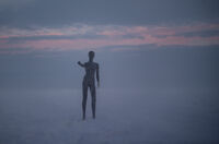 Зов; Няма коментари