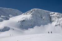 без име ( ID=2573766 ); Коментари:17