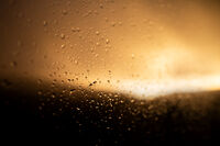 Дъждовна сюита; comments:2