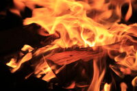 без име ( ID=2573793 ); Коментари:1