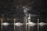 no name ( ID=2573813 ); comments:3