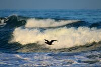 Море; Коментари:3