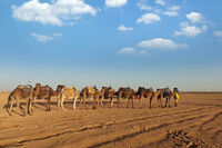 Сахара; comments:3