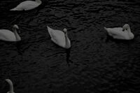 BERLIN / Oct 2o25; No comments