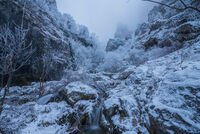 no name ( ID=2573940 ); comments:2