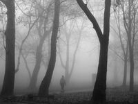 no name ( ID=2573966 ); comments:13