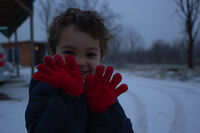 Тихо се сипе; Коментари:2