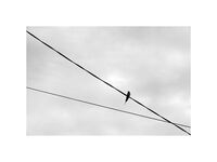 no name ( ID=2573986 ); comments:7