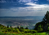 без име ( ID=2573994 ); Коментари:2