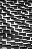 Happy Chickens in Dubai; comments:7