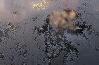 Homo Sapiens Следващо хилядолетие...; No comments