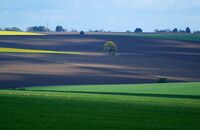 без име ( ID=2574024 ); Коментари:9