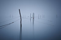 no name ( ID=2574036 ); comments:17