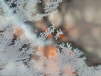 Зимата твори; Коментари:3