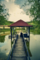 no name ( ID=2574045 ); comments:1