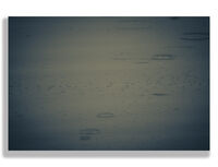 no name ( ID=2574046 ); comments:2