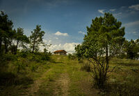 no name ( ID=2574048 ); comments:4